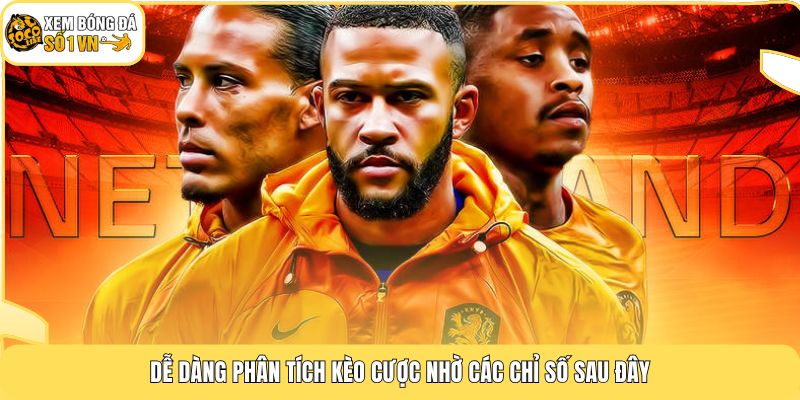 Tỷ lệ kèo 3 Dễ dàng phân tích kèo cược nhờ các chỉ số sau đây