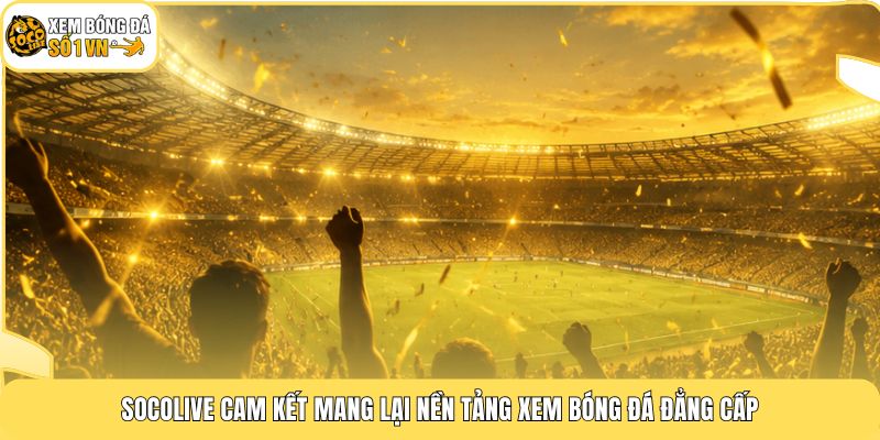 Socolive cam kết mang lại nền tảng xem bóng đá đẳng cấp